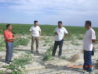 07年到144團(tuán)私人農(nóng)場試驗(yàn)地.jpg