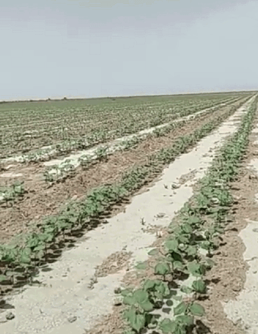 QQ截圖20200601205845.png QQ截圖20200601205845.png