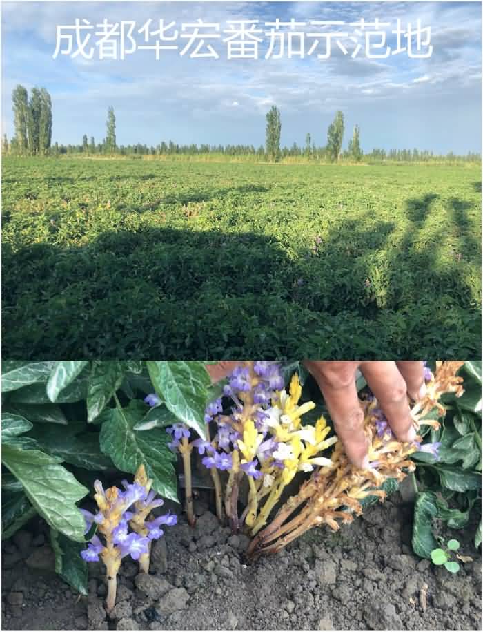 微信圖片_20200711202828_meitu_1_meitu_2.jpg 微信圖片_20200711202828_meitu_1_meitu_2.jpg