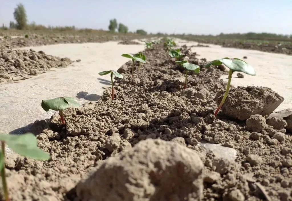 微信圖片_20220309215832.jpg 微信圖片_20220309215832.jpg