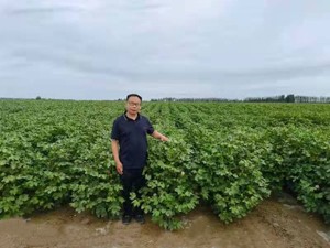 微信圖片_20221113135751.jpg 微信圖片_20221113135751.jpg