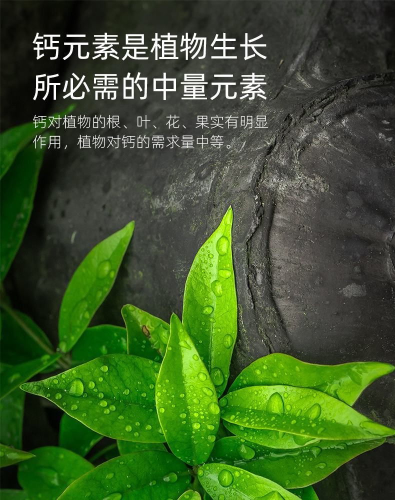 必須.png 必須.png