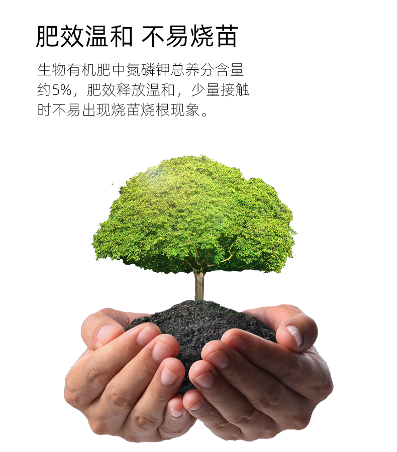 溫和.png 溫和.png