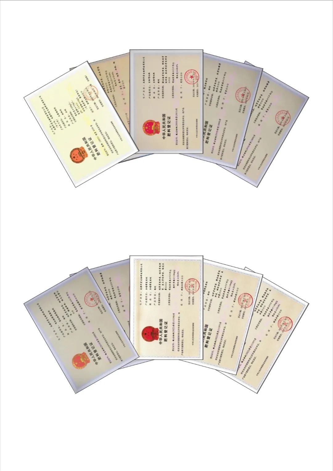 2023092416955456039519041.jpg 2023092416955456039519041.jpg