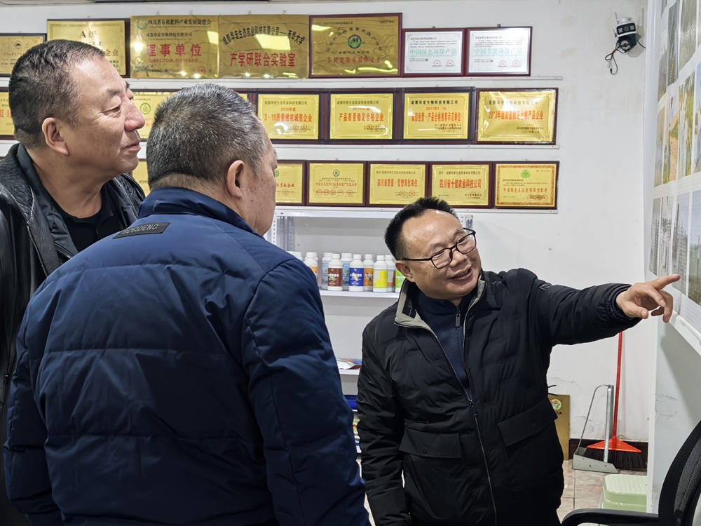 IMG_20241219_175304.jpg IMG_20241219_175304.jpg