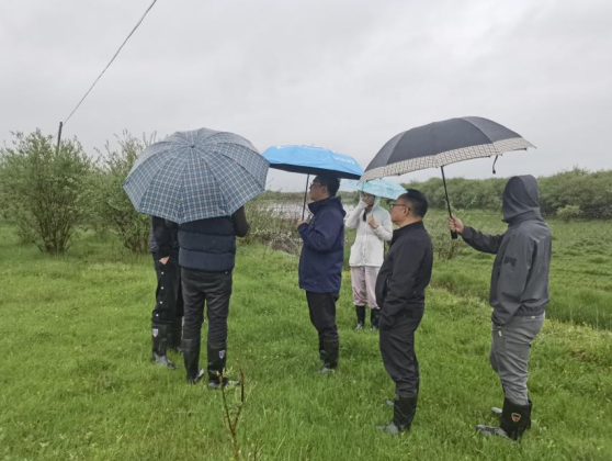 111111.png 111111.png