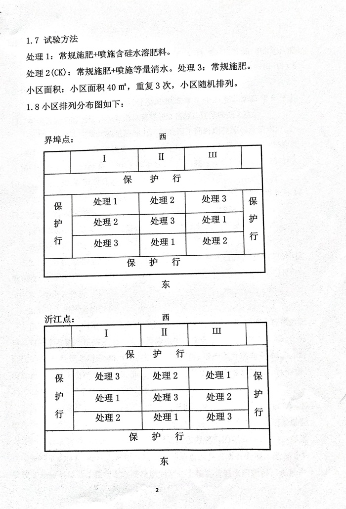含硅水溶肥料在水稻上的肥效試驗報告20250817_02.jpg